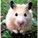 aranoxqe's avatar
