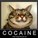 Shotgun65's avatar