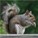 Ascar's avatar