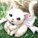 electrowolf's avatar