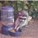 roachbait12's avatar