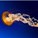 pumpkin1998's avatar