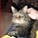 kitty143's avatar