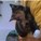 misslucy4's avatar