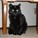 fatcatluv99's avatar