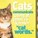 Meows64's avatar