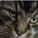 kristin42's avatar