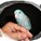 MokaKaffee's avatar