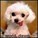 amberflame5746's avatar