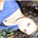 Marah.Funness's avatar