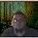 Fantym420's avatar
