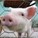 ngoline's avatar