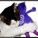 katmama13's avatar