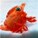 nezumishrimp's avatar