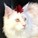 Kiteehnator's avatar