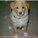 rayofsunshine's avatar