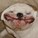 Stevomejevo's avatar