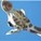 Jubeedoo's avatar