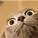 Gtothek's avatar