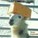fuzzykoalabunny's avatar