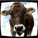 ninscha's avatar