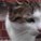 Dooby's avatar
