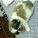 hellokitteh12's avatar