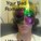 crazysteve10790's avatar