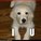 fun_ducky21402's avatar