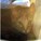 LisaRA1979's avatar