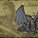 FireEmblemWyvern's avatar