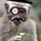J_A_C_K's avatar