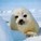LoLrence's avatar