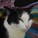 stickysnail's avatar