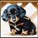 dachshundgal11's avatar