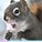 Squirrely-Squirrel's avatar