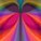 animalperson's avatar