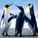 PenguinKid's avatar