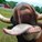 DeadlyCow's avatar
