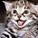 OMGcatz777's avatar