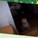 bellacat03be's avatar