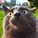 Lulu101001's avatar
