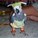 Tricia13's avatar