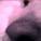 zoomiejr's avatar