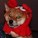 JanetCinNC's avatar