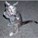 72catastrophe's avatar